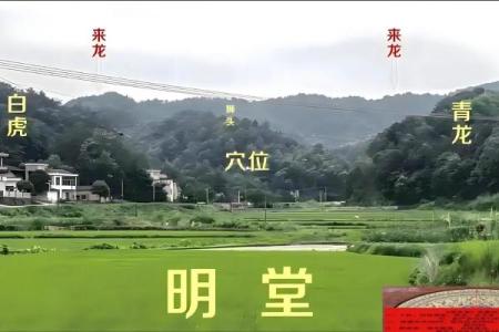 必知的墓地风水的基本操作知识