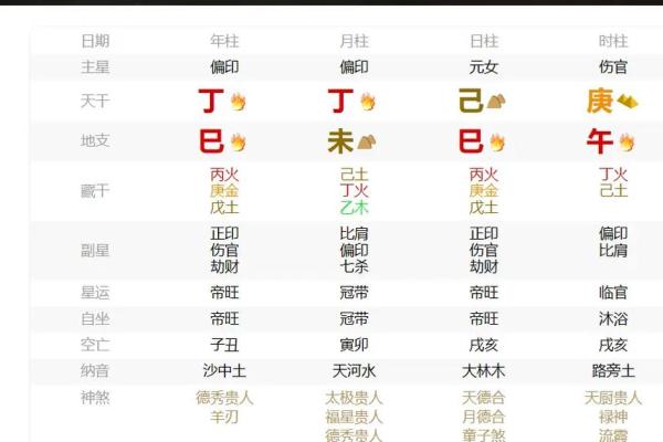八字己巳日