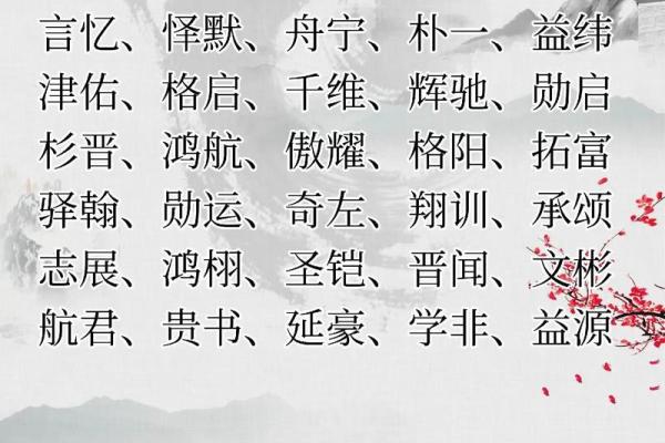 属鼠辰时出生的男孩宜用什么字取名字，怎样取名字姓名