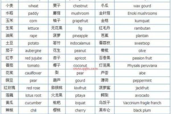 英语女孩qq名字大全
