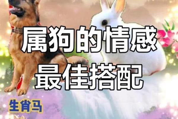 狗跟什么生肖配对最好 生肖狗最佳配对