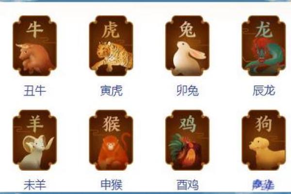 婚姻配对属龙和属猪姻缘怎么样