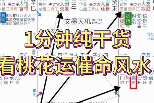 紫薇斗数看耳鸣