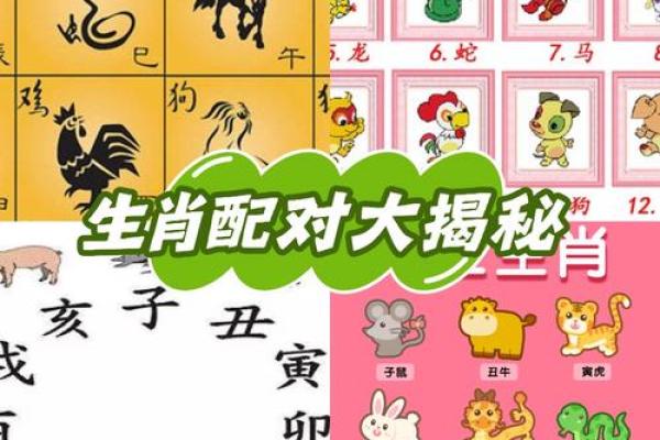 1994年属什么生肖的宝宝 1994年属什么生肖配对男