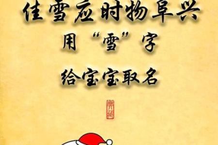 2019年大雪节气出生带雪字取名女孩名字，关于雪的唯美名字姓名