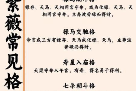 紫薇斗数七杀平
