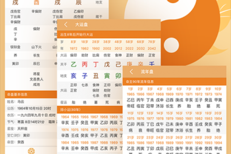 八字排盘软件开发