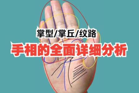 《手相学习百科》：掌丘