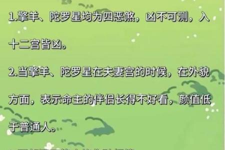 紫薇斗数旬空夫妻宫