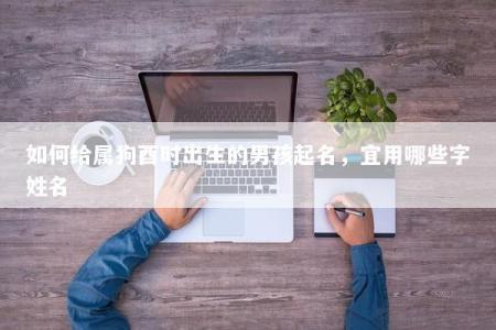 如何给属狗酉时出生的男孩起名，宜用哪些字姓名