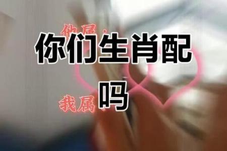 属猴的和属蛇的配对是否合适