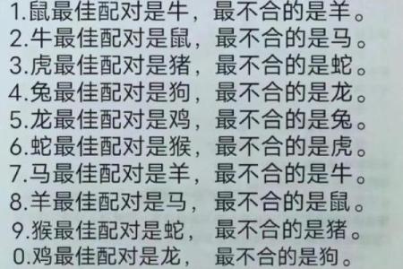生肖配对属鼠属鸡的婚姻怎么样