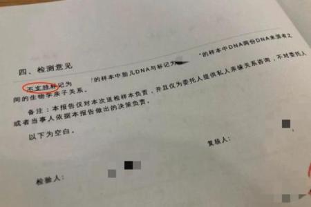 谁是称职老婆的血型女