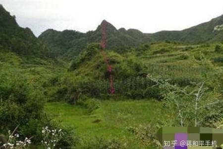 如何判断身上有仙骨的征兆风水