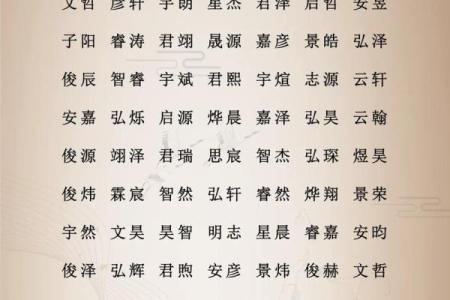 属鸡申时出生的男孩该如何起名，宜用什么字姓名