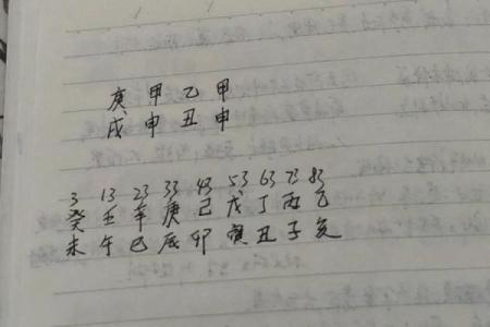 八字实战教学 八字教学法（八）