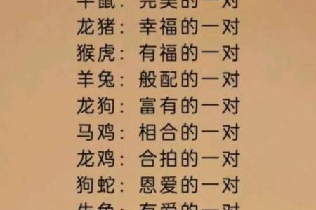 生肖配对，是什么道理？啥属相不合？终于明白了