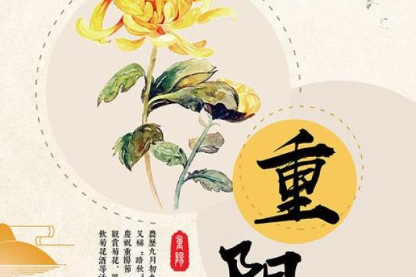 九月九日重阳节是什么节日 重阳节是什么节日代表什么