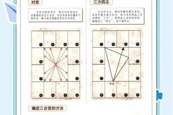 紫薇斗数宫位阴阳