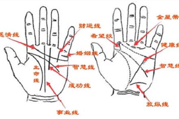 凯帝阿手相算命图解大全02