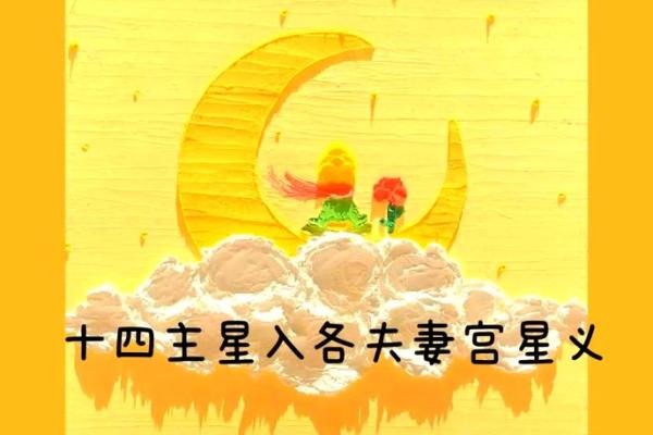 紫微斗数夫妻宫在亥无主星 加桃花主配偶有艺术才能
