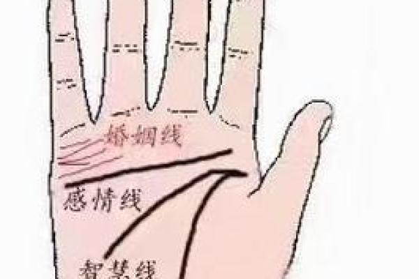 看手相算命：第六课 实际看