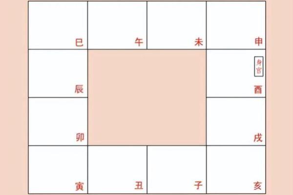 人生紫薇斗数