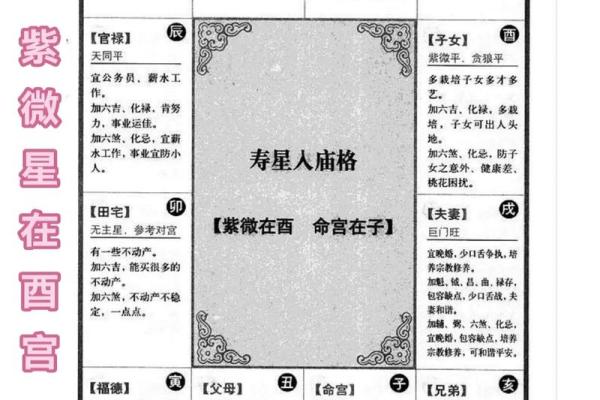 紫薇斗数紫薇星怎么定
