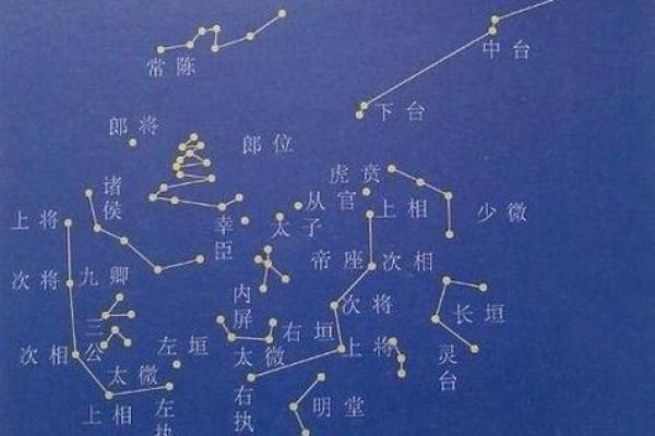 命带紫薇星是什么意思