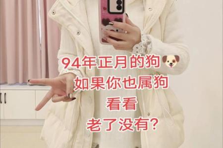 94年狗和94年狗是上等婚吗 两只94年生的狗配对算是高配婚姻吗