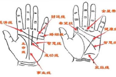 凯帝阿手相算命图解大全02