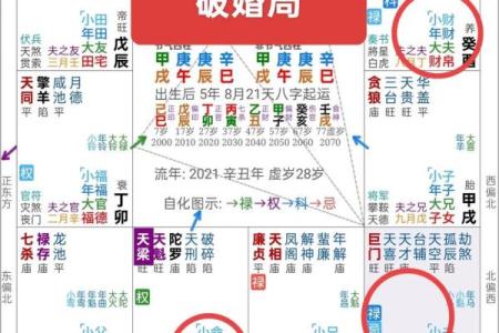 紫微斗数夫妻宫在亥无主星 加桃花主配偶有艺术才能