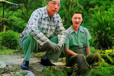张学良八字