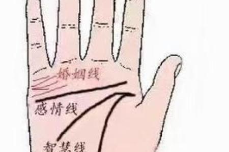 看手相算命：第六课 实际看