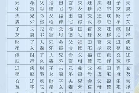 国学研究所紫微斗数记录 紫微星国学？