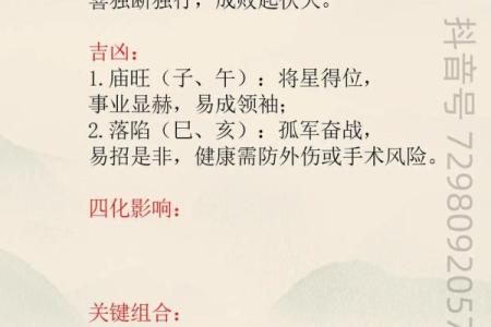 紫微斗数化科星入十二宫的影响