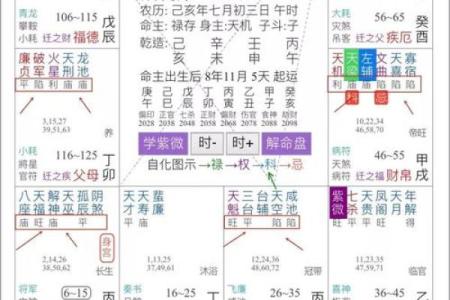 紫薇斗数加吉