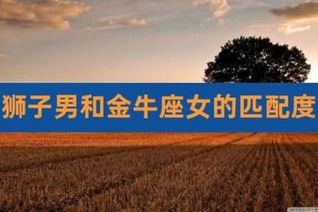 金牛和狮子座配对合适吗男