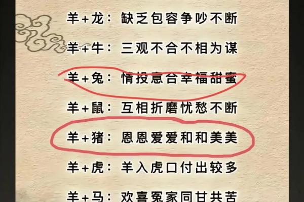 生辰八字能揭示你的生肖