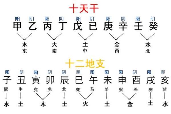 生辰八字能揭示你的生肖