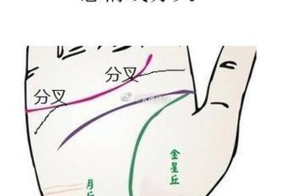 看手相算命：第二课 婚姻感情