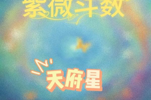夫妻紫薇天府星