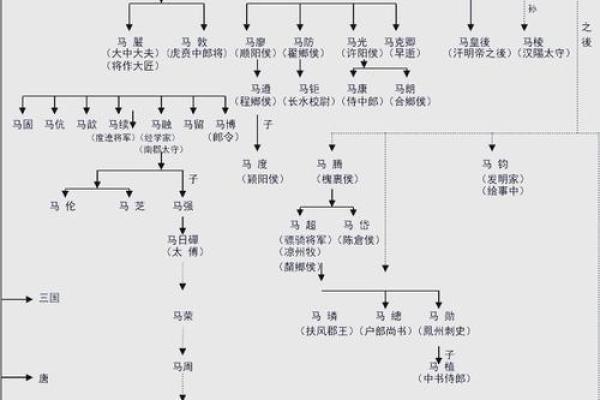 马姓姓氏的家谱记载和宗祠对联-姓名学-华易网姓名