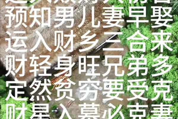 [八字中比肩四个有何寓意？双手奋斗开拓未来]