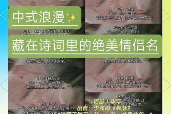 寻找有情人姓名配对 寻找有情人的诗句？