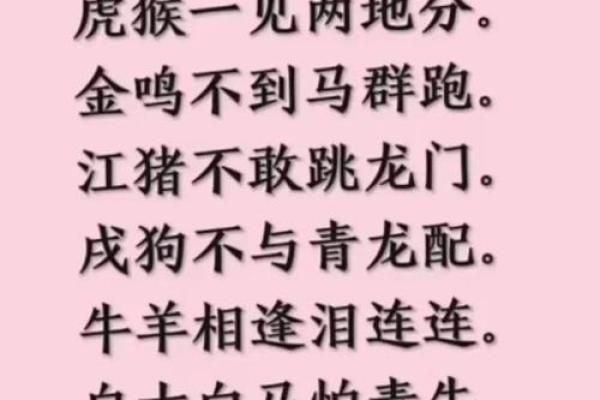女牛男兔生肖配对姻缘 女牛男兔相配婚姻会怎么样？