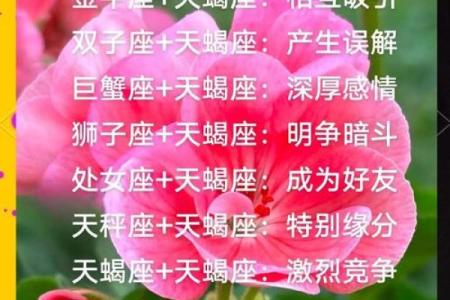 天蝎座工作上和哪个星座最合