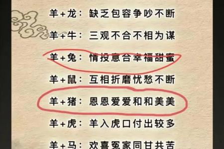 生辰八字能揭示你的生肖