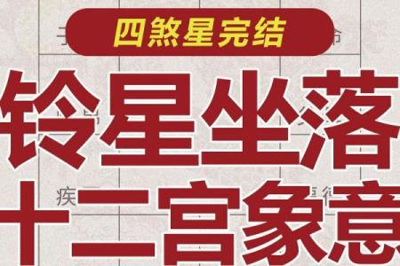 紫薇斗数大财太阴铃星