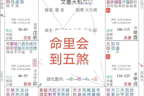 网盘紫薇斗数